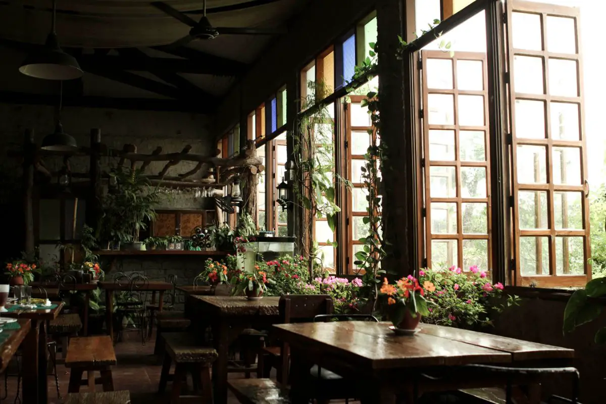 Is Chez Panisse Vegan Friendly? (The Answer Might Surprise You)